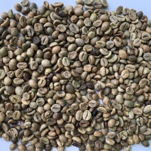 Robusta Coffee
