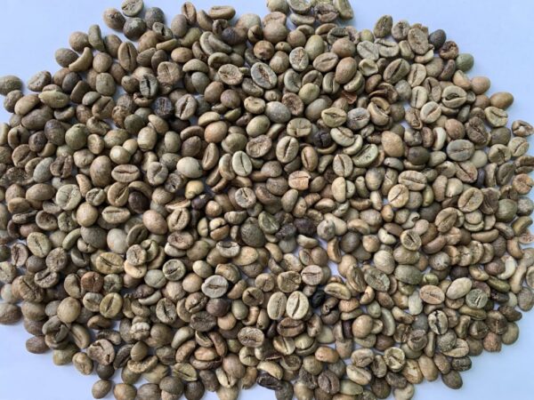 Robusta Coffee