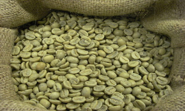 Ethiopian coffee beans