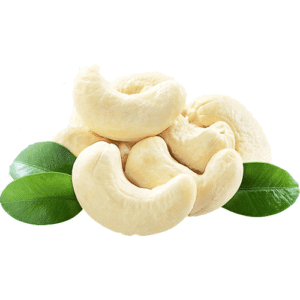 Cashew