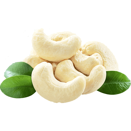 Cashew