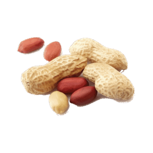 Peanuts/ Groundnut Kernels