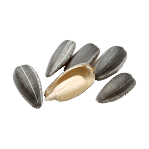 Sunflower Seeds