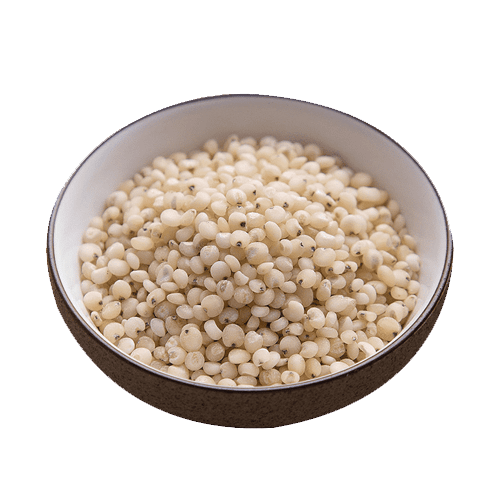 Sorghum