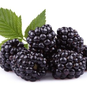 Blueberries