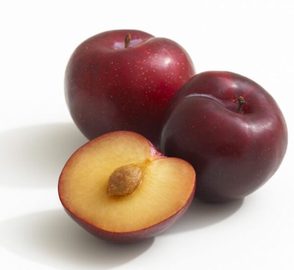Plum Tub