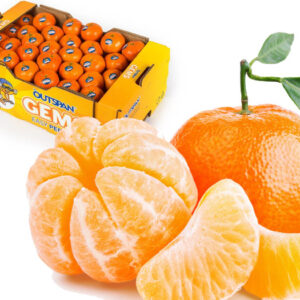 Naartjie / Soft Citrus