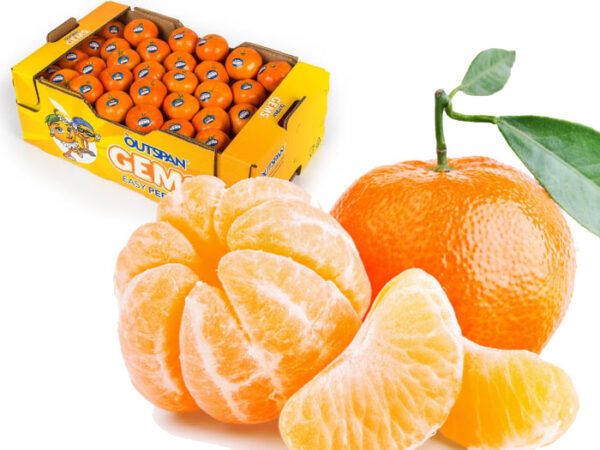 Naartjie / Soft Citrus